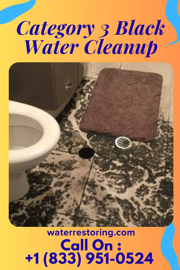 Category 3 Black Water Cleanup in Orland, IN