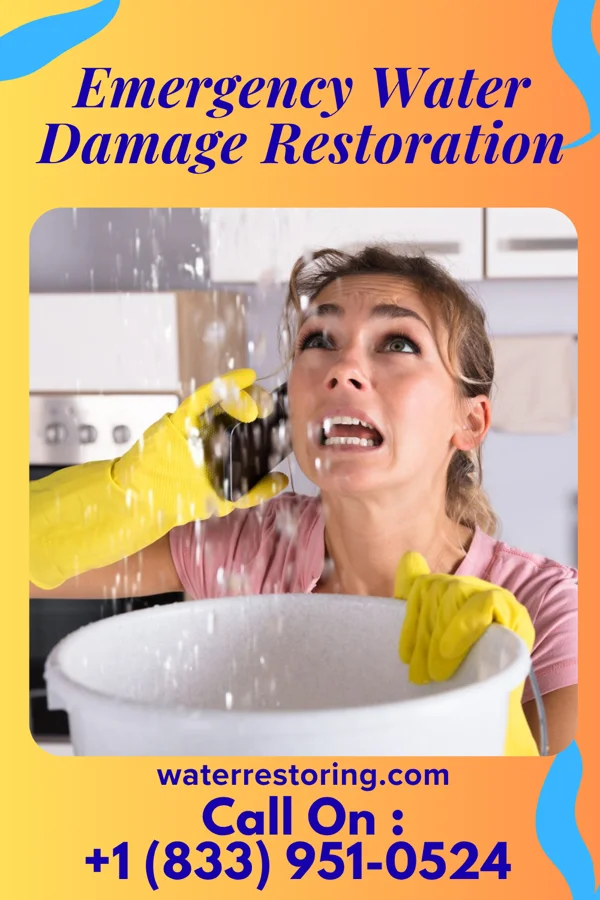 Emergency Water Damage Restoration in Orland, IN