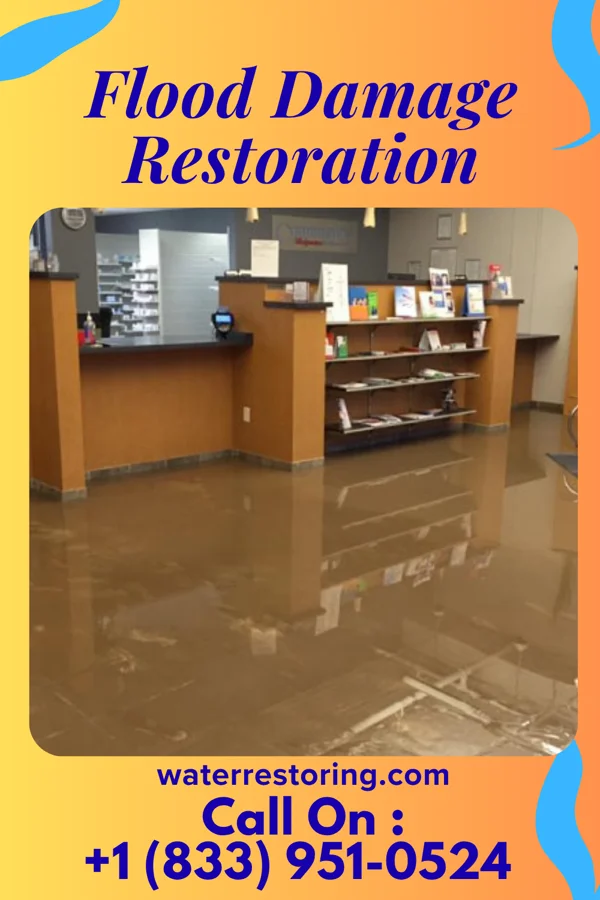 Flood Damage Restoration in Orland, IN